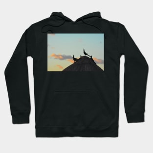 Greeting the Sun Hoodie